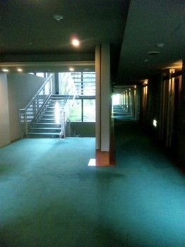 ホテルの廊下.jpg